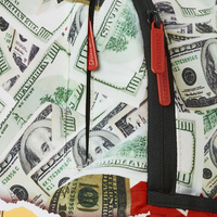 MONEY BEAR DREAMIN' OF MONEY DLXSR BACKPACK