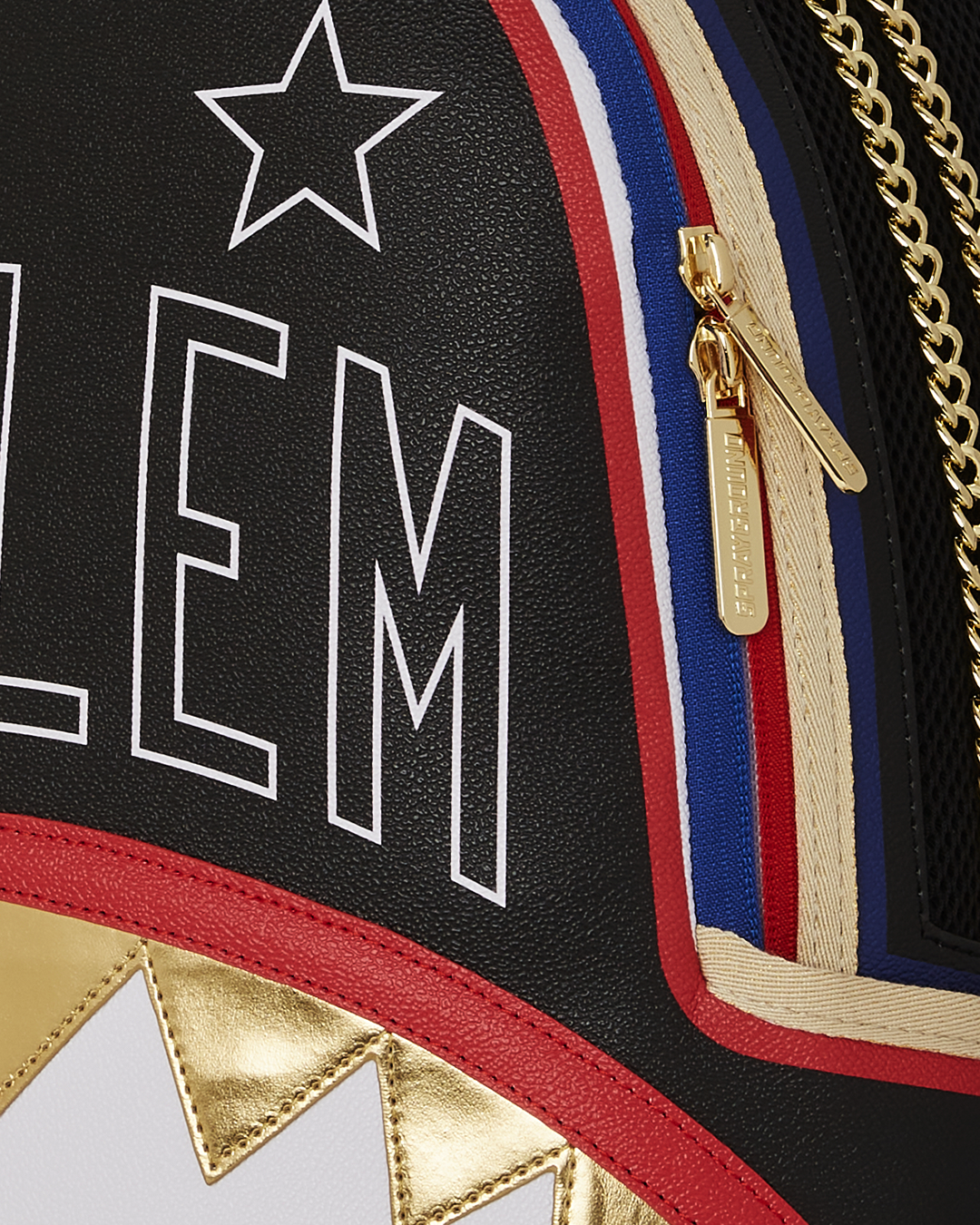 HARLEM GLOBETROTTERS DLXVF BACKPACK