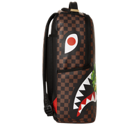 MONEY BEAR REVEAL DLXSV BACKPACK