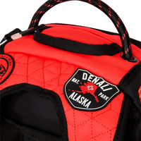 RED EXPEDITION BACKPACK