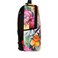 HUMMINGBIRD SHARK DLXSV BACKPACK