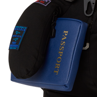 JAMES EDITION PASSPORT BEAR MONEYBEAR BACKPACK