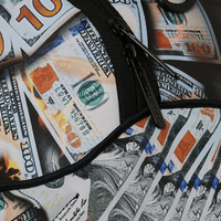 SCORCHING MONEY FEATHERS DLXSV BACKPACK