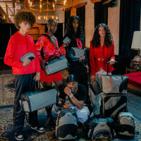 SG ALL DAY PET CARRIER