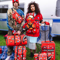 THE GLOBAL EXPEDITION MONEYBEAR TEDDYBEAR BACKPACK