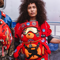 THE GLOBAL EXPEDITION MONEYBEAR TEDDYBEAR BACKPACK