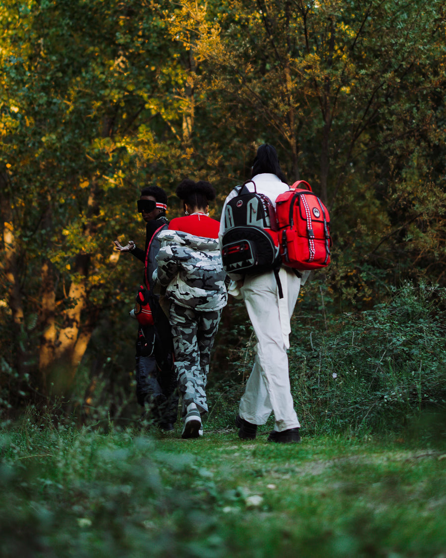 SKY HIGH SEEKERS ARCTIC DLX BACKPACK