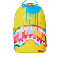 PAINT PROBLEMS DLXSR BACKPACK