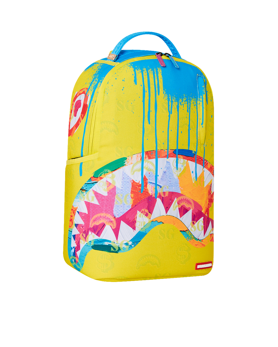 PAINT PROBLEMS DLXSR BACKPACK