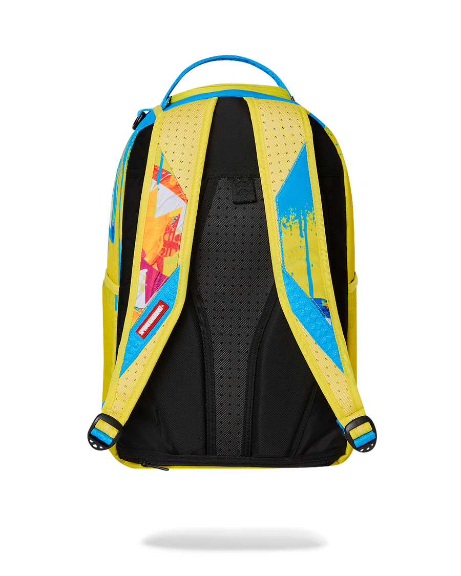 PAINT PROBLEMS DLXSR BACKPACK