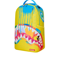 PAINT PROBLEMS DLXSR BACKPACK