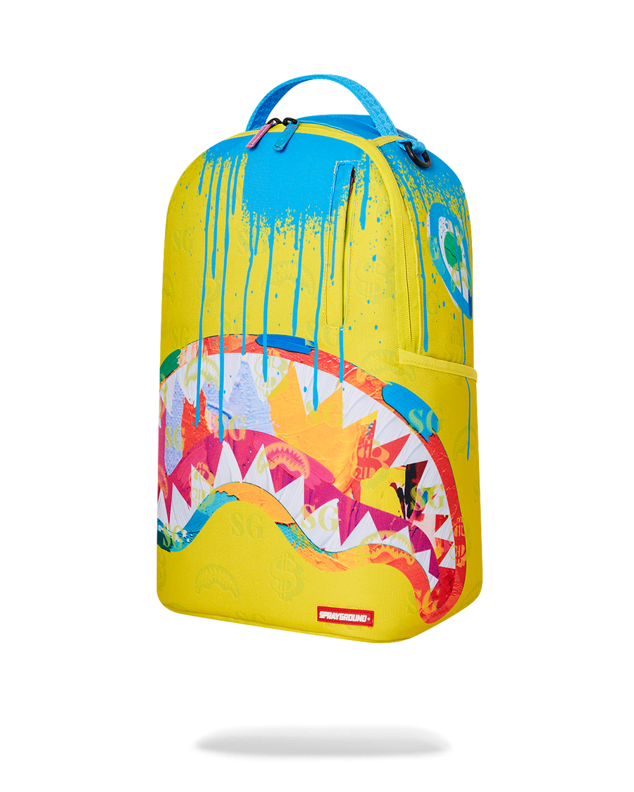 PAINT PROBLEMS DLXSR BACKPACK