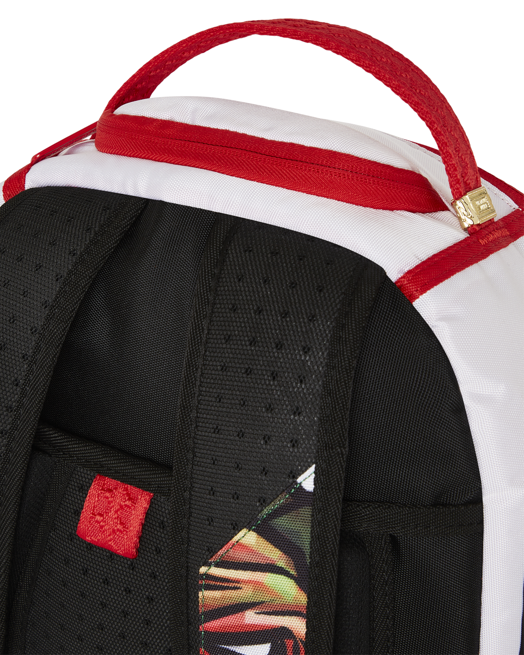 TMNT MAYHEM RAPH DLXR BACKPACK