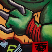 TMNT MAYHEM RAPH DLXR BACKPACK