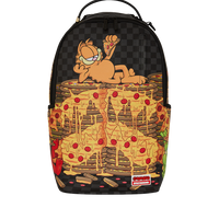 GARFIELD AND MONEY BEAR DLXSV BACKPACK