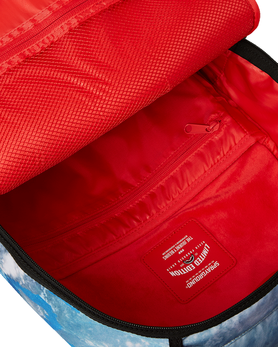NASA INTERNATIONAL SPACE STATION DLXSR BACKPACK