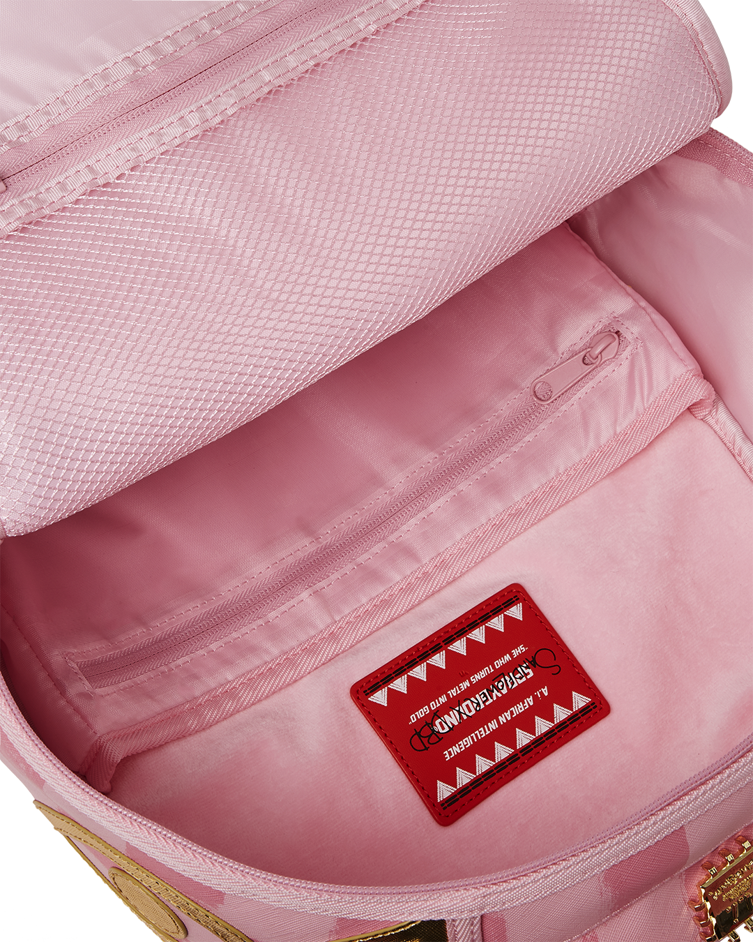 AI MESSAGE FROM THE FUTURE DLXSV BACKPACK