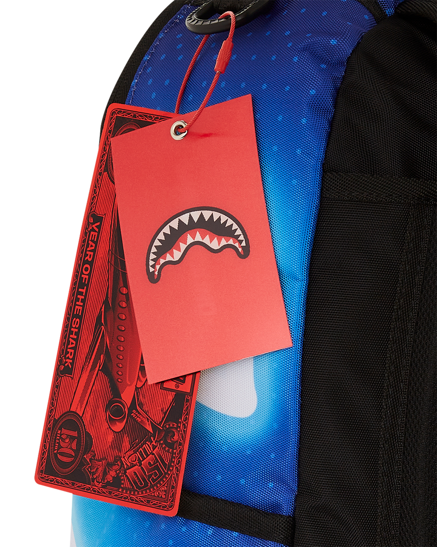 CASPER ARCADE DLXSR BACKPACK