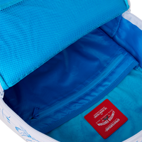 FRANK LLOYD WRIGHT DLXSV BACKPACK