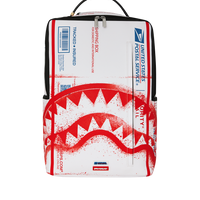 USPS SHIPPING BOX DLX BACKPACK