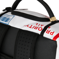 USPS SHIPPING BOX DLX BACKPACK