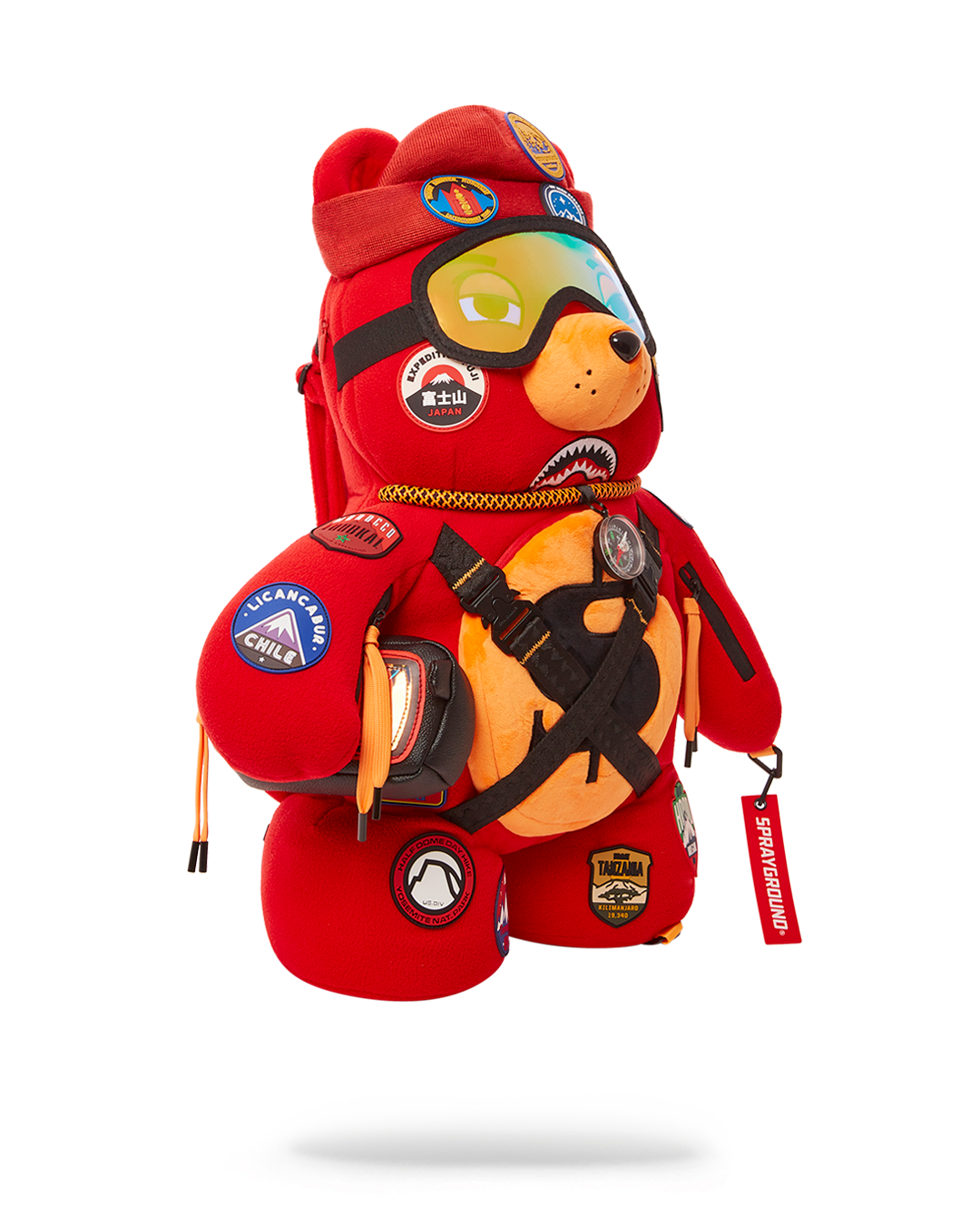 THE GLOBAL EXPEDITION MONEYBEAR TEDDYBEAR BACKPACK