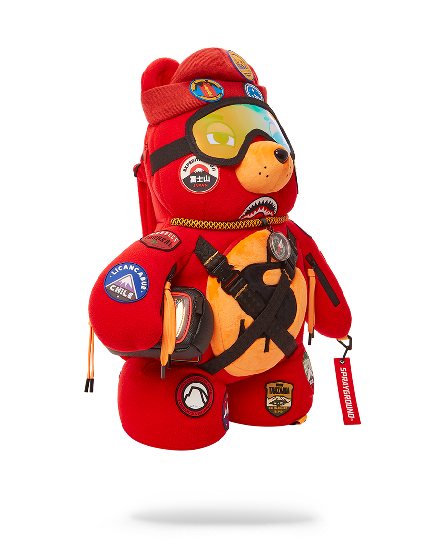 THE GLOBAL EXPEDITION MONEYBEAR TEDDYBEAR BACKPACK