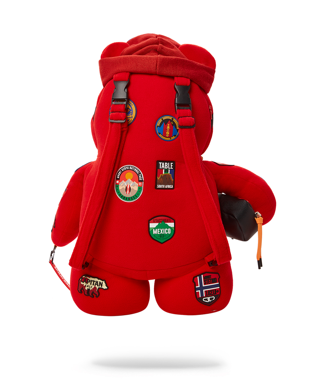 THE GLOBAL EXPEDITION MONEYBEAR TEDDYBEAR BACKPACK