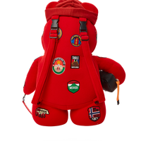 THE GLOBAL EXPEDITION MONEYBEAR TEDDYBEAR BACKPACK