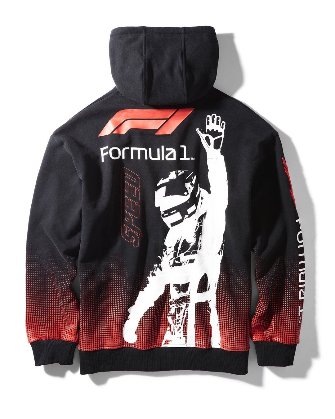 FORMULA 1 SHARK TRACK HOODY